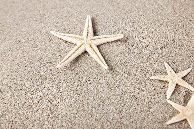 天黑闭鬼眼？日式萌妖推理游戏《妖崽幼稚园》12月1日将于Steam开园！